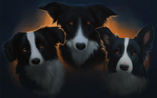 Three dogs orange eyes black - one dog free wallpaper