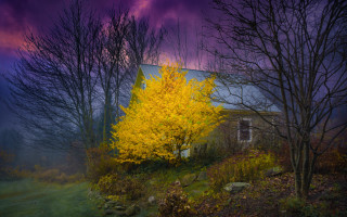 House yellow tree purple sky - a painting of a house free wallpaper