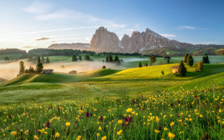 Green field yellow flowers house - a green field free wallpaper