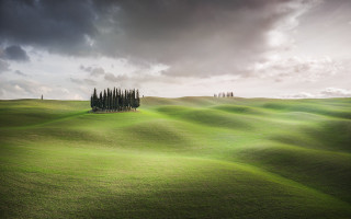 Green field trees cloudy sky - a green field free wallpaper
