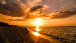 Sunset beach people birds sky - a sunset free wallpaper