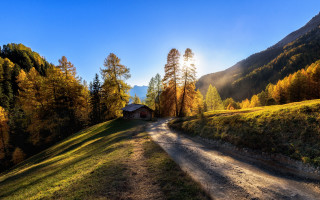 Dirt road forest house mountain - a dirt road in the middle of a forest free wallpaper
