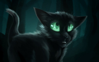 Black cat glowing green eyes 2 - green eye free wallpaper
