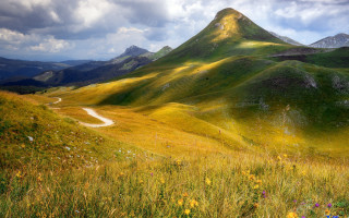 Grassy field dirt road mountain - beautiful landscape free wallpaper