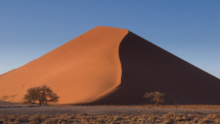 Sand dune tree blue sky - a large sand dune free wallpaper