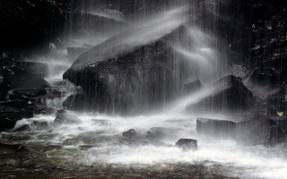 Waterfall rocks dog standing water 2 - waterfall free wallpaper