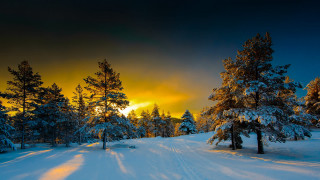 Snowy road trees sunset clouds 2 - tree and a sunset in the background free wallpaper