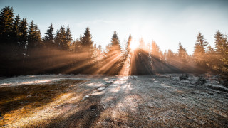 Sunbeam trees snow field lake - a sunbeam free wallpaper