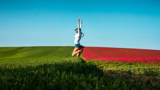Woman handstand field flowers summer - elke vogelsang free wallpaper
