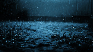 Dark rainy night rain grass - rainy free wallpaper