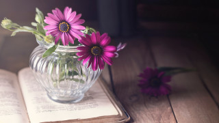 Vase flowers openbook purpleflowers daisylily - a vase of flowers free wallpaper