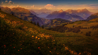 Mountain lake flowers autumn sunset - derold page free wallpaper