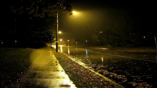 Wet street night streetlight pavement - the side of the road free wallpaper