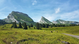 Grassy field mountains animals blue - a grassy field free wallpaper