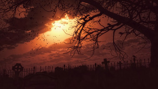 Cemetery sunset bats gothic matte - a cemetery free wallpaper
