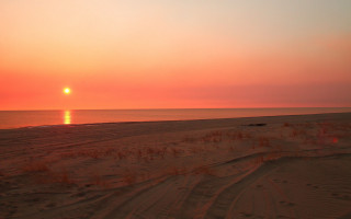 Sunset beach lone horse ocean - a sunset over a beach free wallpaper