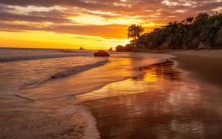 Sunset beach waves tree rock - wave free wallpaper