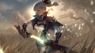 Fantasy woman sword field birds - overhead in the background free wallpaper