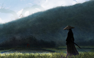 Woman dress hat field bird 2 - overhead in the background free wallpaper