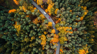 Autumn forest road aerial view - looking free wallpaper