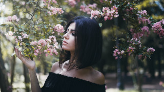 Woman black dress park pink - a park free wallpaper
