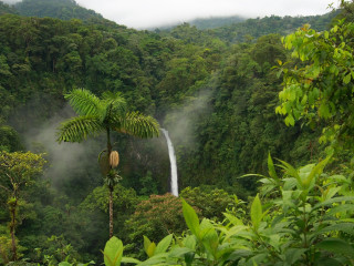 Waterfall forest tree mist nature 2 - a waterfall in the middle of a forest free wallpaper