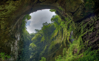 Narrow tunnel waterfall lush green - free nature wallpaper