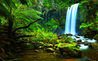 Waterfall tropical forest rocks trees - tropical free wallpaper