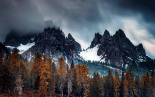 Mountain range autumn leaves campfire - a dark sky above free wallpaper