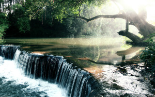 Waterfall river trees sunlight leaves - tree and water free wallpaper