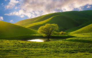 Tree pond mountain clouds landscape 2 - an impressionist painting free wallpaper for desktop
