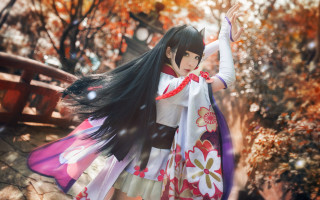 Dancing woman autumn leaves kimono - a long dress free wallpaper