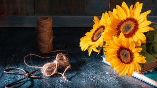 Sunflowers table book twine stilllife - anne rigney free wallpaper