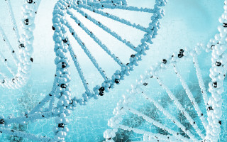 Beaded structure blue background dots - biopunk free wallpaper