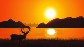 Deer lake sunset mountains silhouette - a digital painting free wallpaper