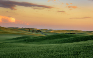Green field sunset clouds trees - a green field free wallpaper