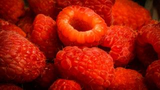 Raspberries ring autumn flame closeup - a pile free wallpaper
