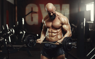 Bearded male gym muscular baroil - a barbell free wallpaper