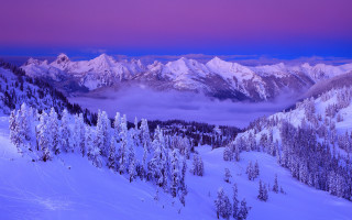 Snowy mountain purple sky trees - a purple sky above free wallpaper
