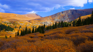 Mountain range trees sky clouds - bob thompson free wallpaper