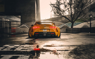 Yellow sports car wet street 3 - tail free wallpaper