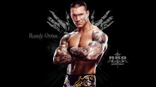 Tattooed male wrestler poster muscular - a wrestling belt free wallpaper