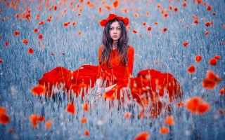 Woman red dress flower field 4 - a field of flowers free wallpaper