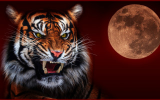 Tiger fullmoon gothic redframe digital - full moon free wallpaper