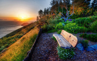 Bench hillside ocean sunset nature - the sun setting free wallpaper