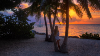 Woman palm tree beach sunset - daphne mcclure free wallpaper