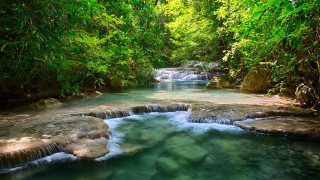 River waterfall trees rocks greenery - andrew law free wallpaper