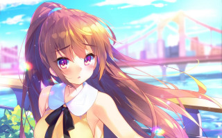 Girl long hair bridge city - a city in the background and a bridge in the foreground free wallpaper