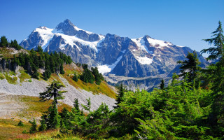 Mountain range snow peak forest 2 - a trail in the foreground free wallpaper