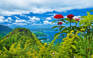Mountain redflower water scenery beach - douglas robertson bisset free wallpaper